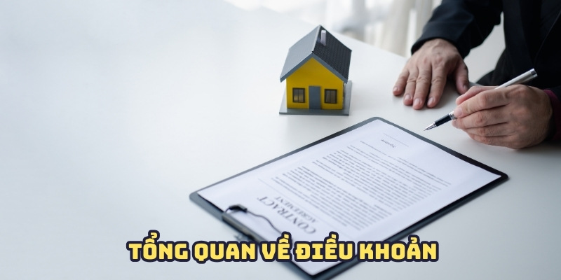 Điều khoản và những thông tin tổng quát để hội viên 789BET  nắm bắt