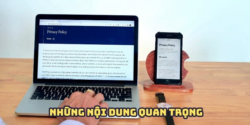 Nội dung quan trọng trong chính sách điều khoản